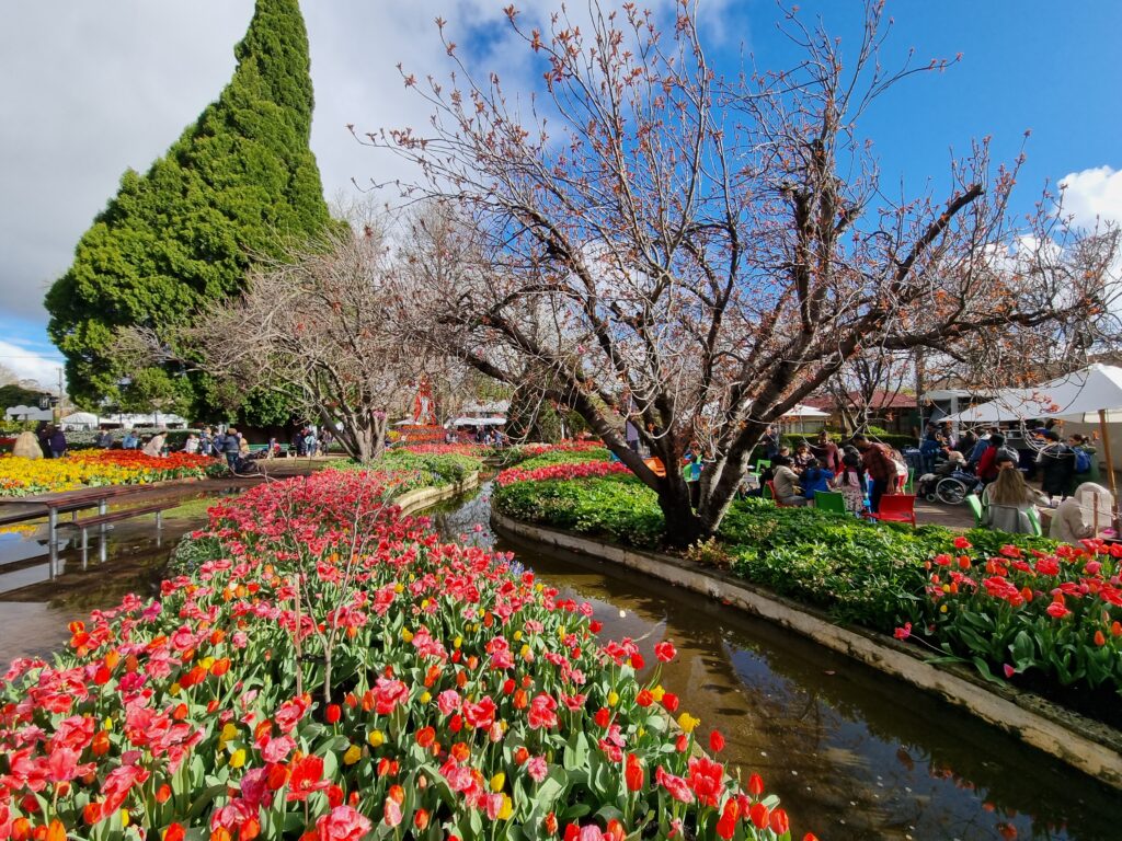 Corbett_Gardens,_Bowral