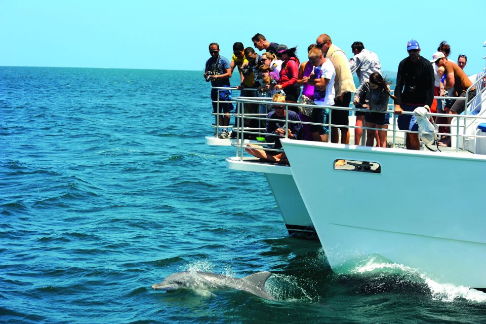 Jervis Bay Dolphin Cruise