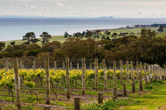 Bellarine Wine Tour