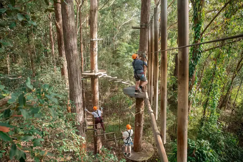 treetops adventure Hunter Valley