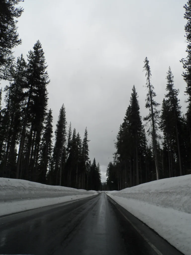 Crater Lake Entrance