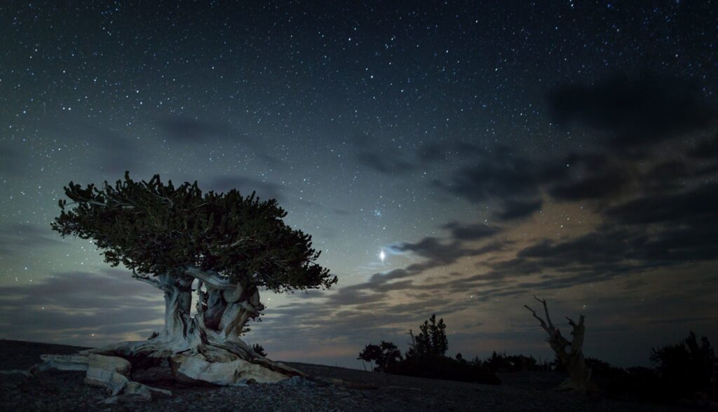 Great Basin National Park at Night