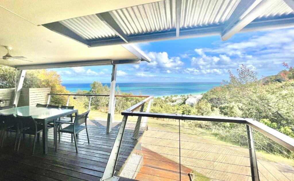 Shorebird on Moreton