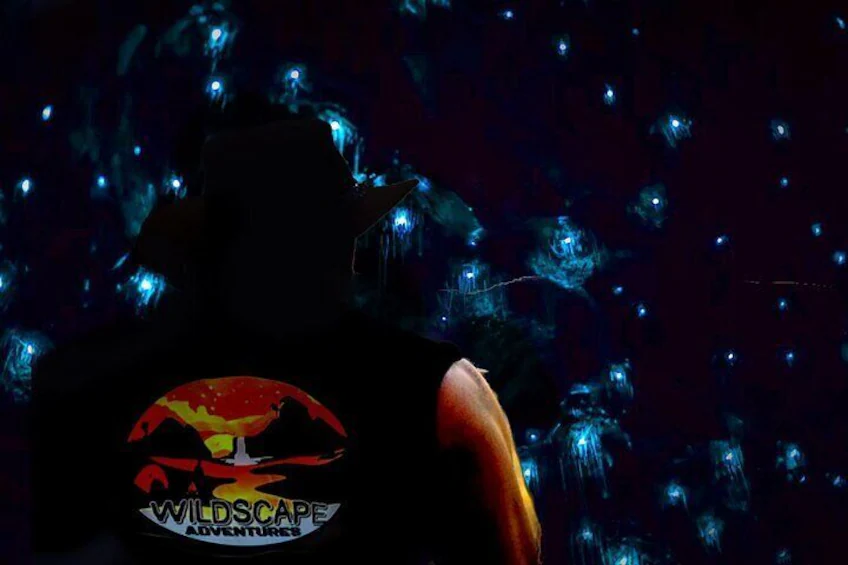 Sunset Glow Worms Tour