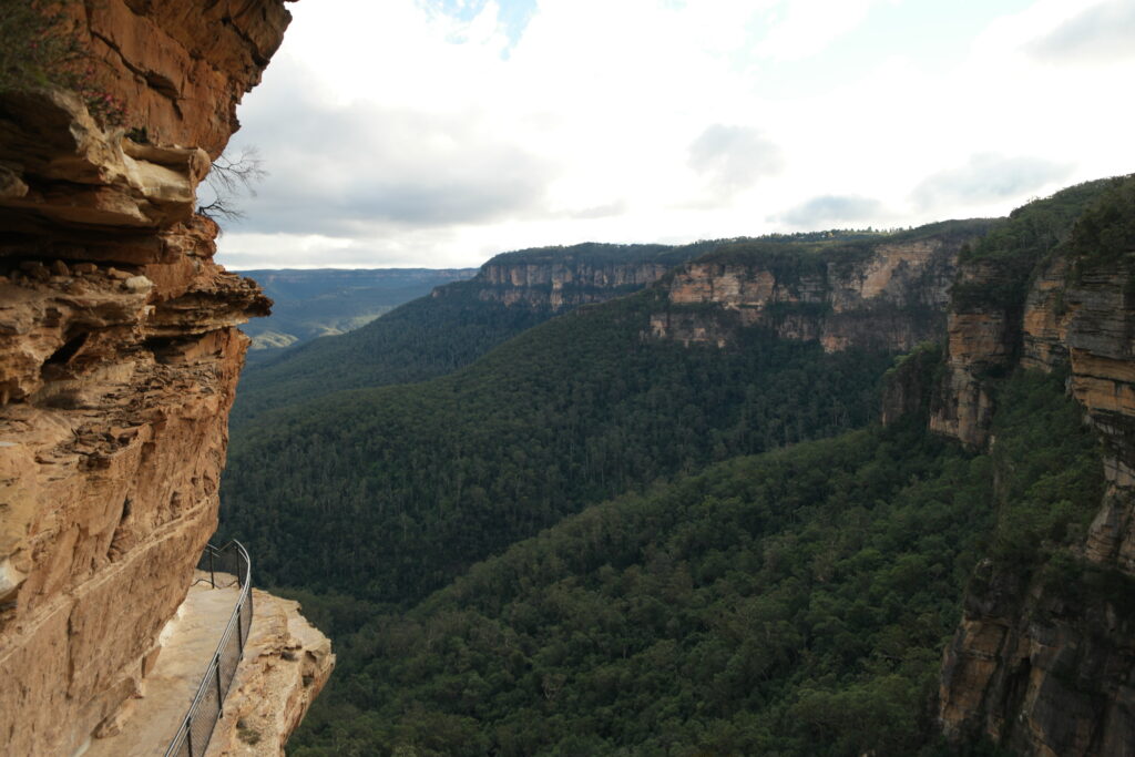 Blue Mountains National Park
