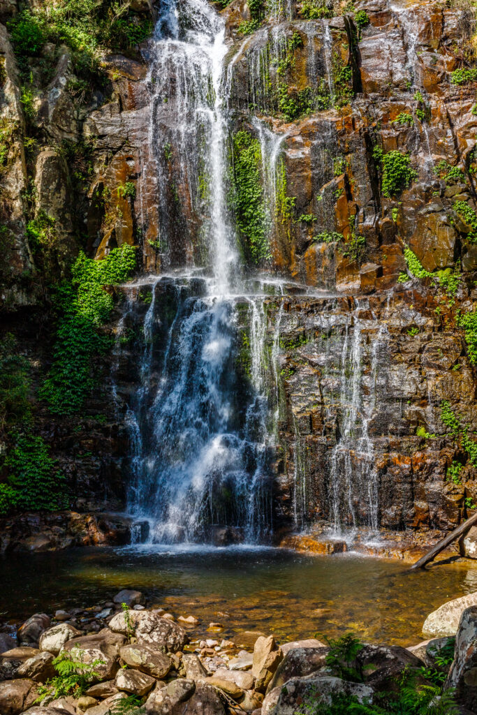 Budderoo National Park