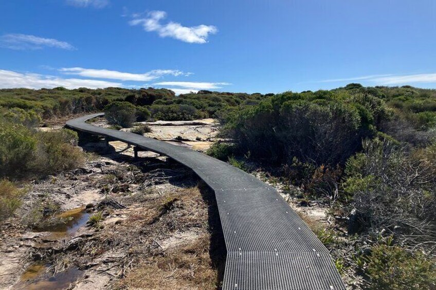Coast Track royal national park