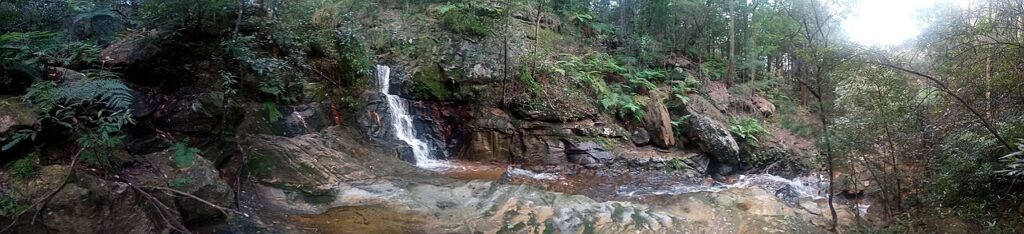 Ku-ring-gai Chase National Park