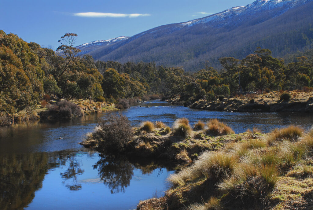 Thredbo River Kosciuszko National Park